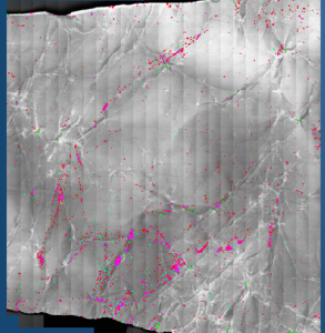 montage image of 5 cm x 5 cm area, showing different types of contamination